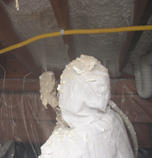 Helena MT crawl space insulation